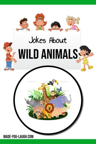 clean and funny wild animal jokes for kids: www.made-you-laugh.com