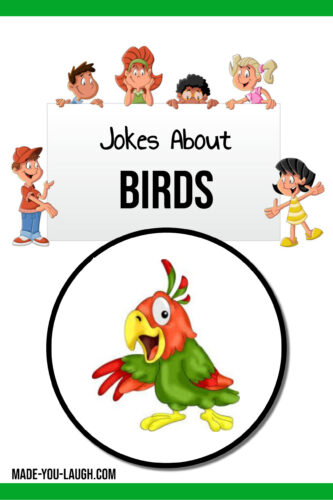 Clean and funny kids jokes about birds. www.made-you-laugh.com