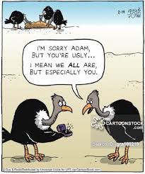 bird comic - clean jokes about birds for kids - www.made-you-laugh.com