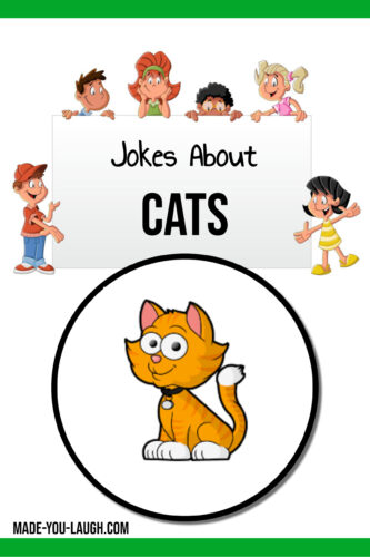 clean and funny kids jokes about cats, cat jokes at www.made-you-laugh.com