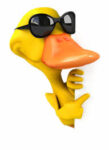 funny duck jokes for kids: duck jokes at www.made-you-laugh.com