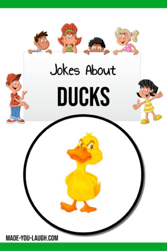 clean and funny jokes about ducks for kids at www.made-you-laugh.com