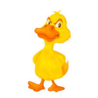 funny duck jokes for kids: duck jokes at www.made-you-laugh.com